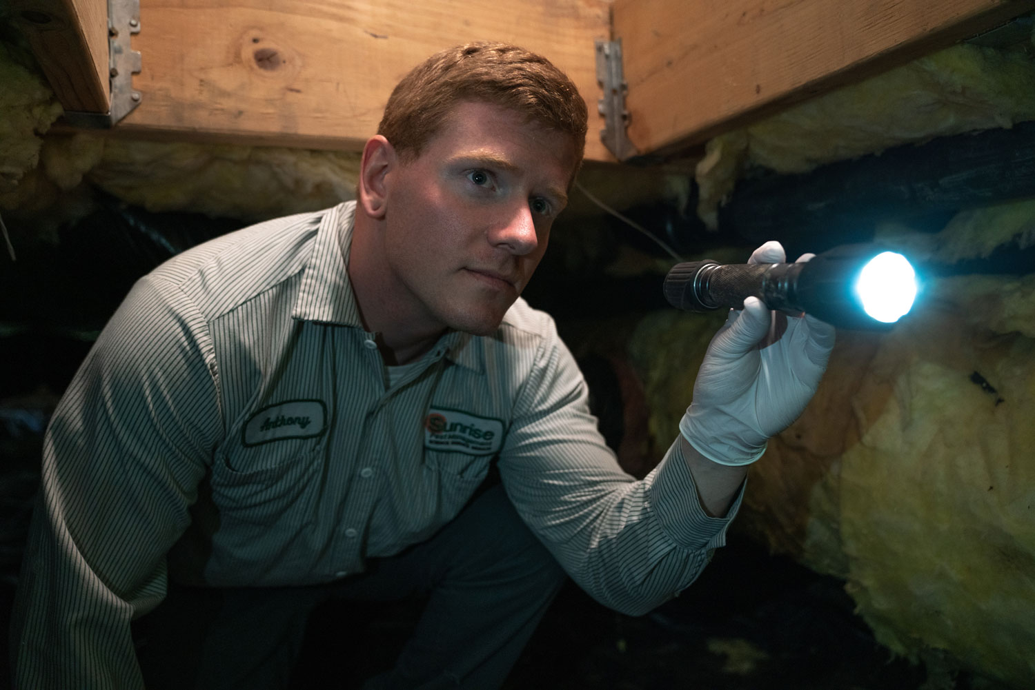 Technician inspecting crawl space for firebrats